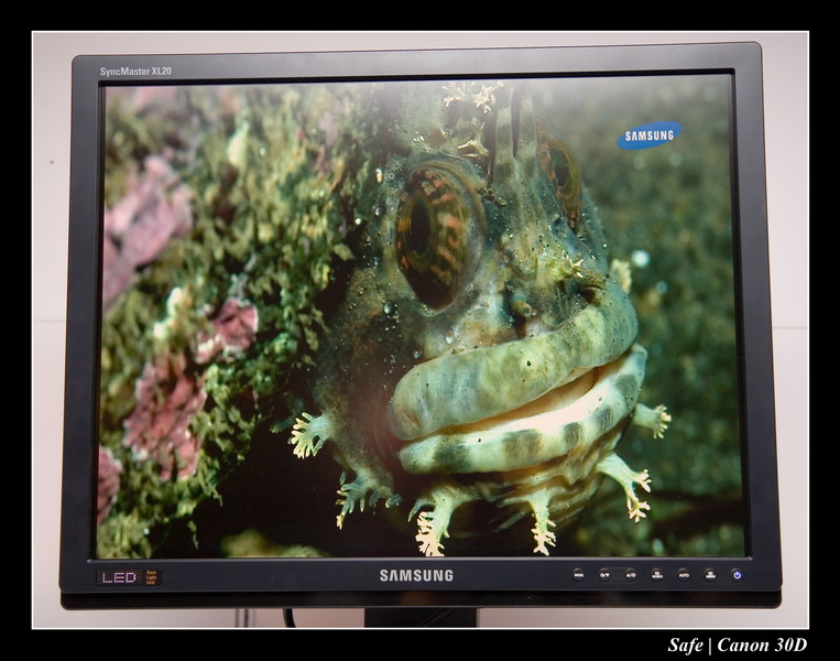 2006 - 11 - Salon SATIS - 41